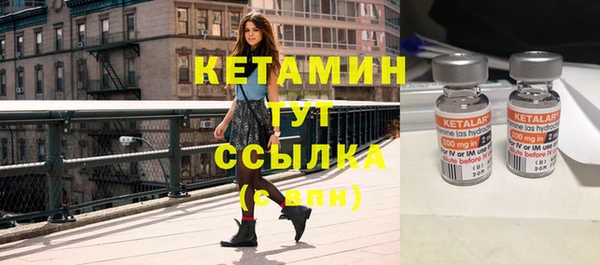 стафф Кодинск
